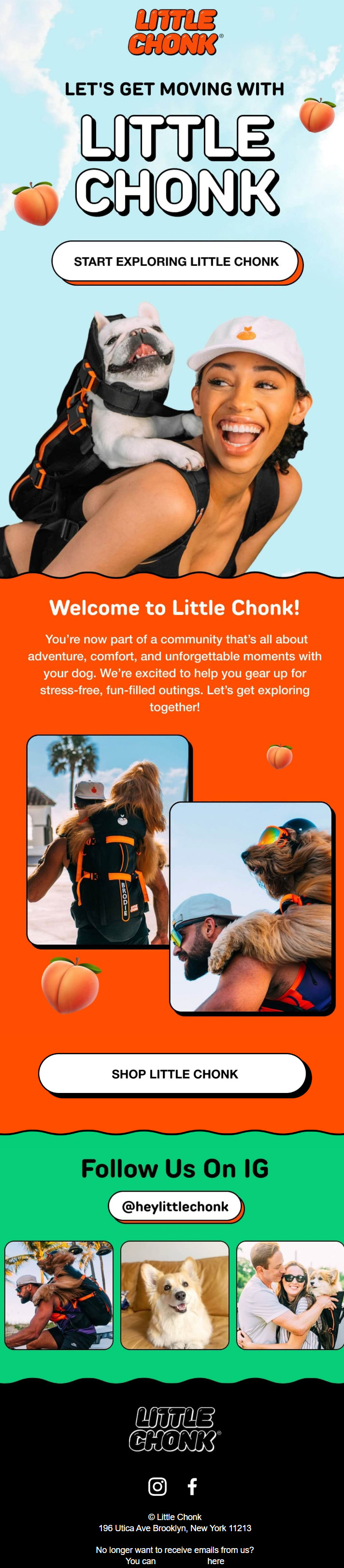 Pet Email Design
